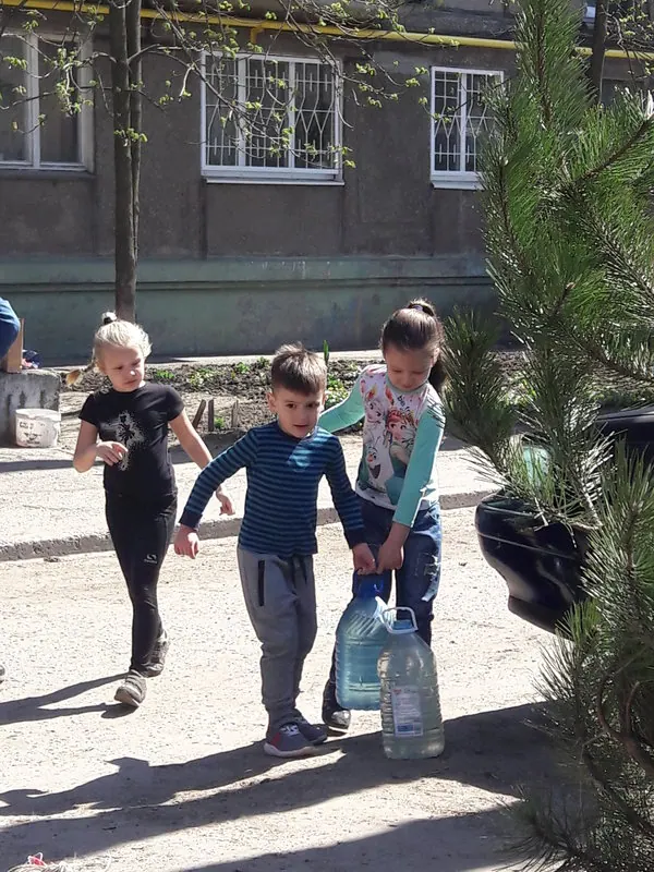 Озеленення хвойними деревами двору С. Ковалевської, 49 — фото 5
