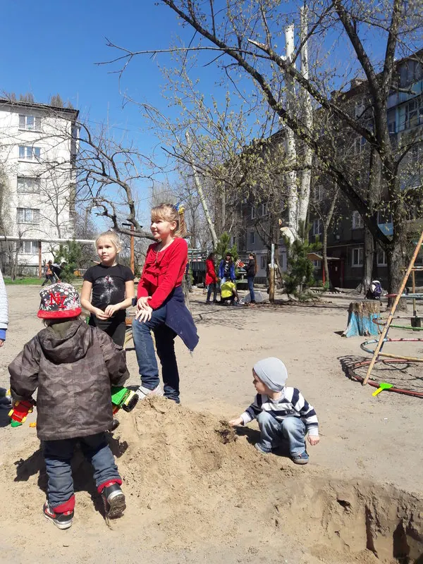 Озеленення хвойними деревами двору С. Ковалевської, 49 — фото 7