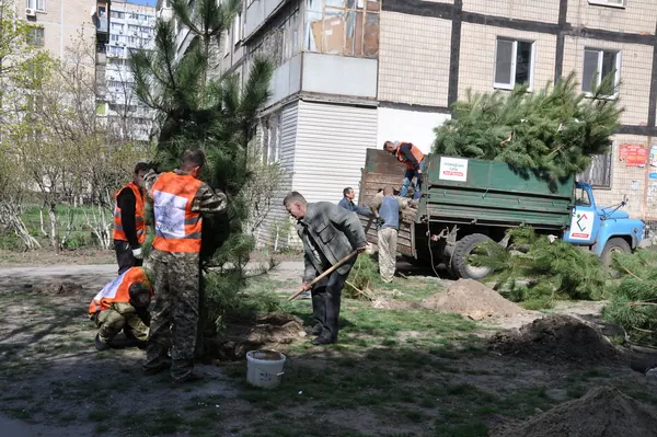 Суботник на вул. М. Малиновського, 34 у рамках конкурсу "Кращий двір" — фото 8