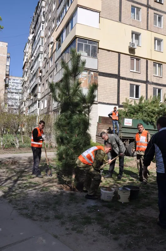 Суботник на вул. М. Малиновського, 34 у рамках конкурсу "Кращий двір" — фото 9