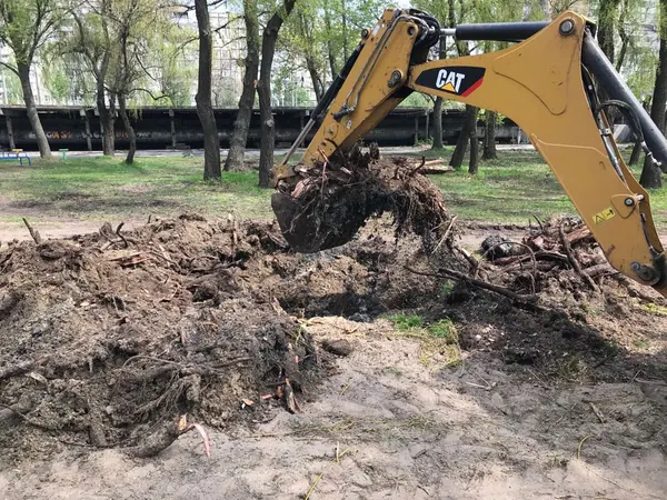 Будівництво набережної Сонячного. Упорядкування зон відпочинку — фото 1