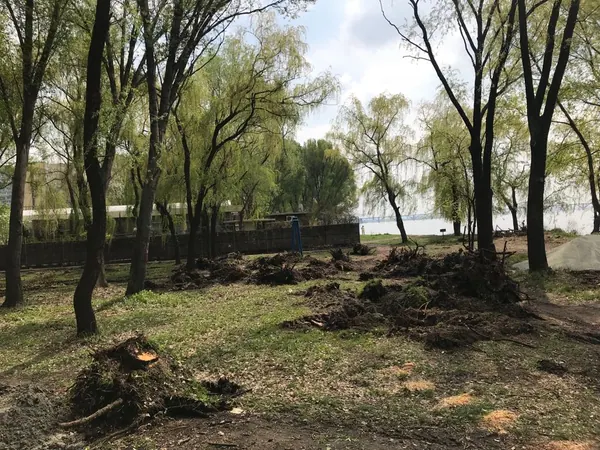 Будівництво набережної Сонячного. Упорядкування зон відпочинку — фото 3