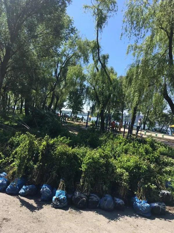 Будівництво набережної Сонячного. Упорядкування зон відпочинку — фото 11