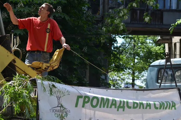 Ліквідація аварійних дерев. Вул. Бердянська, 1 — фото 9
